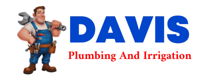 Trusted plumber in NECEDAH